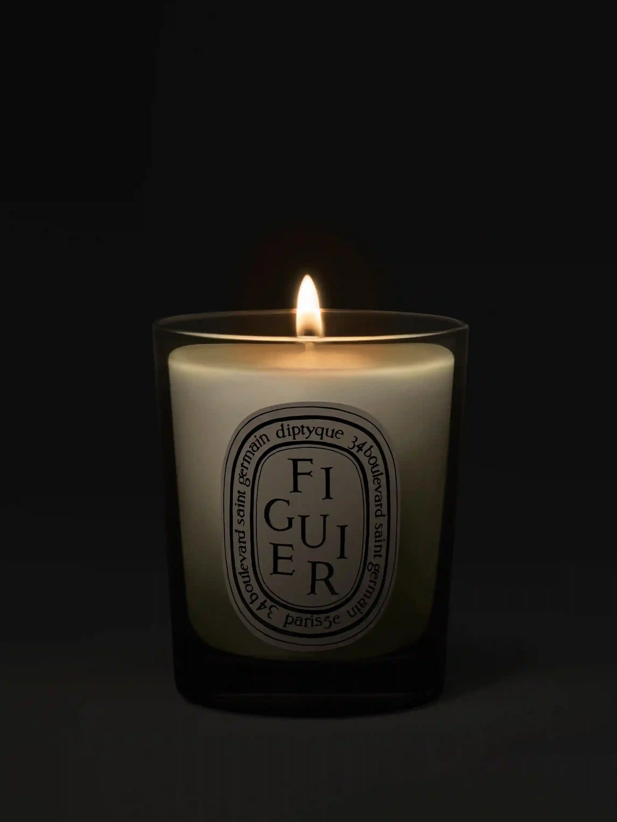 Figuier (Fig Tree) - Small Candle