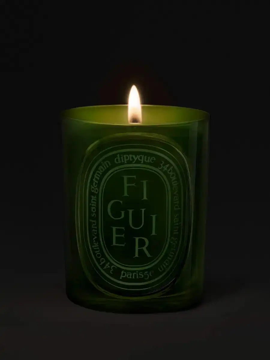 Figuier (Fig Tree) - Medium Candle